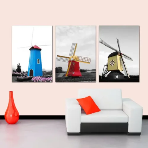Set tablouri alb-negru cu detalii colorate — tablou canvas