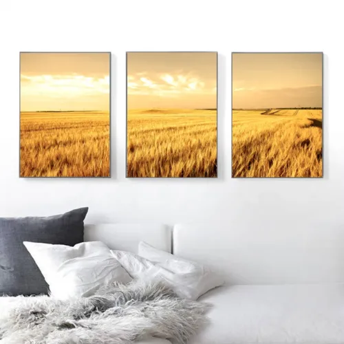 Set de tablouri peisaj cu rasarit — tablou canvas